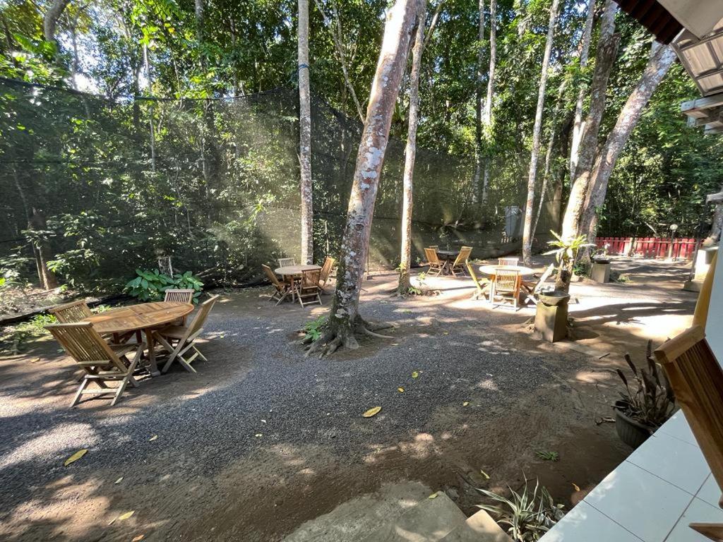 בניוואנגי Capital O 92612 Penginapan D'Alas Purwo & Beachnearpadang Savana Sadengan מראה חיצוני תמונה